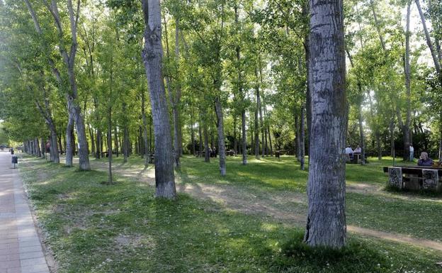 Parque Ribera de Castilla. 