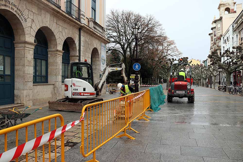 Los operarios han comenzado a trabajar frente a la Diputación