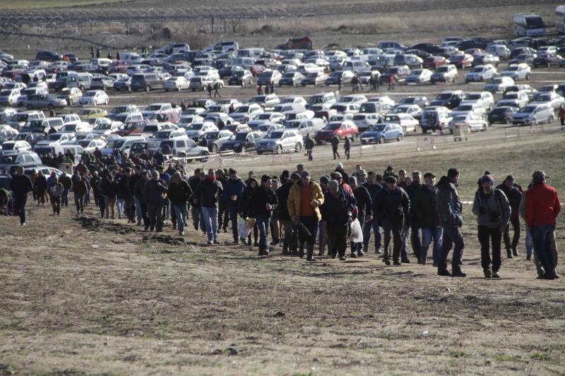 Ambiente en la carrera de galgos de este sábado en Madrigal de las Altas Torres, durante los cuartos de final del Campeonato Nacional