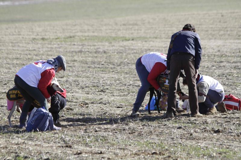 Ambiente en la carrera de galgos de este sábado en Madrigal de las Altas Torres, durante los cuartos de final del Campeonato Nacional