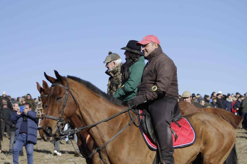 Ambiente en la carrera de galgos de este sábado en Madrigal de las Altas Torres, durante los cuartos de final del Campeonato Nacional