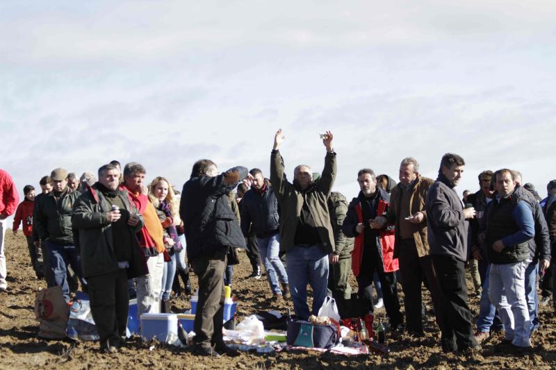 Ambiente en la carrera de galgos de este sábado en Madrigal de las Altas Torres, durante los cuartos de final del Campeonato Nacional