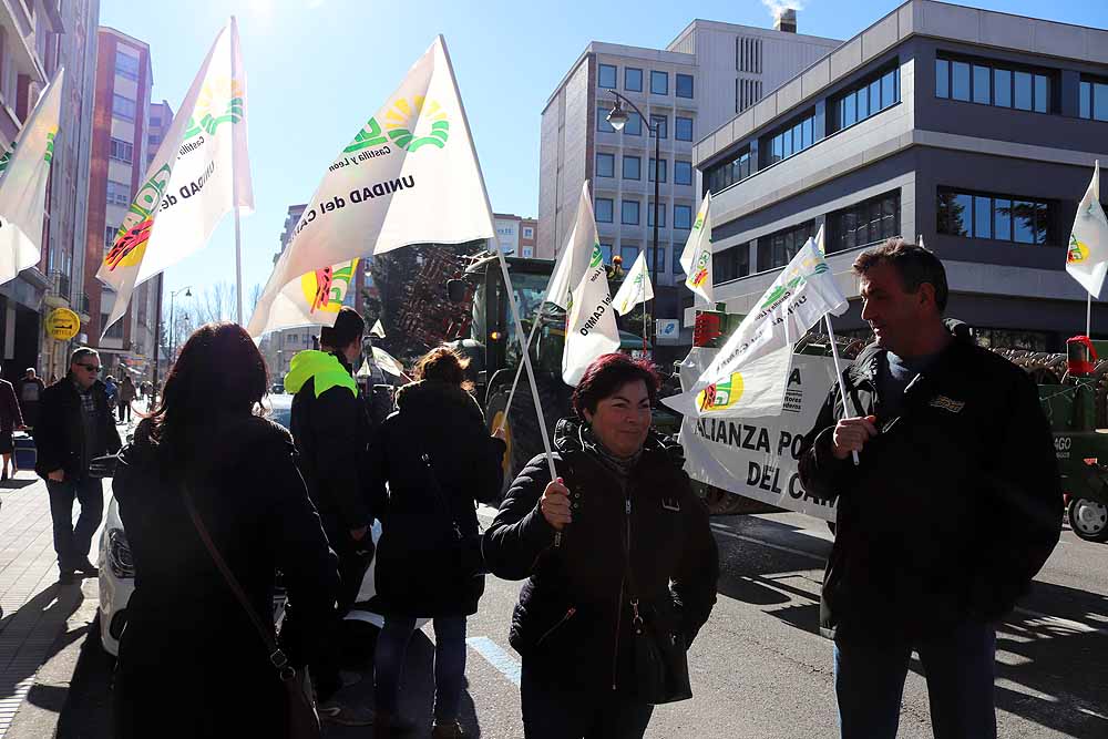 Manifestación de la Alianza UPA-COAG