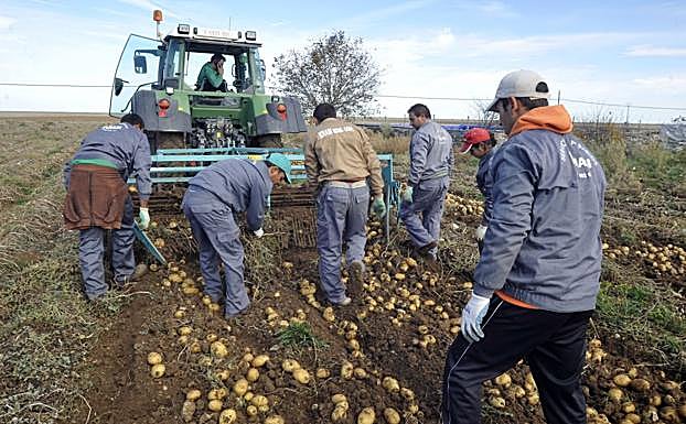 La presencia de temporeros es cada vez más habitual