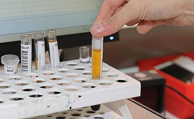 Más de 1.500 enfermos de cáncer se encuentran en riesgo de exclusión social en Castilla y León