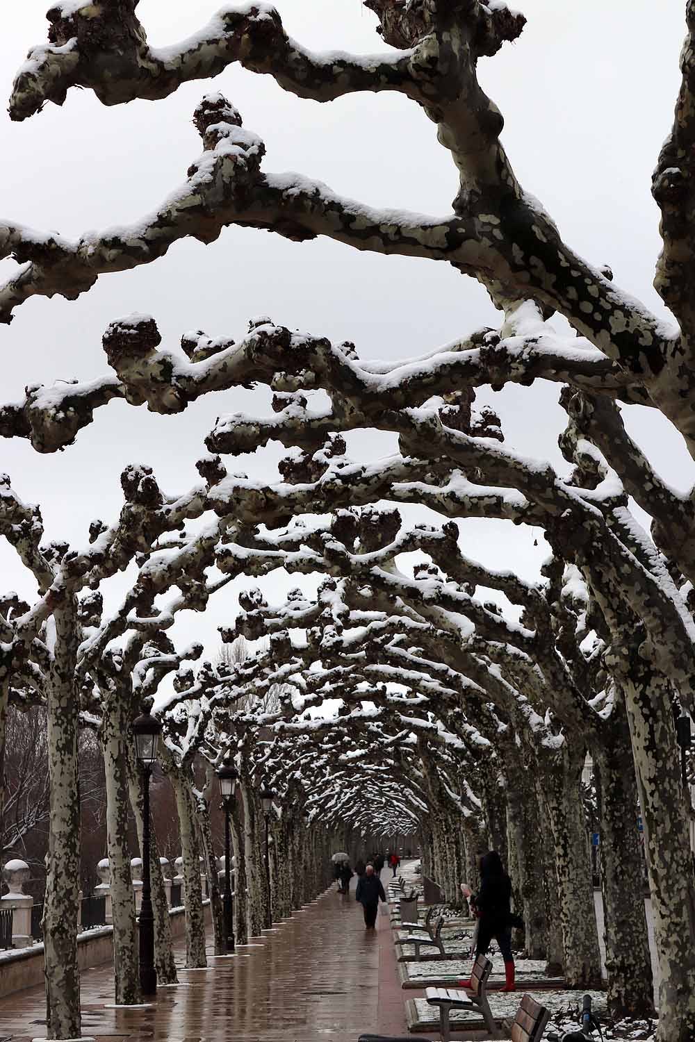 La nieve ha hecho acto de presencia, sobre todo en el norte de la provincia