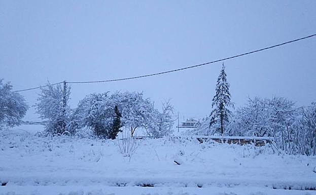 La nieve ha cubierto de blanco buena parte del norte de la provincia