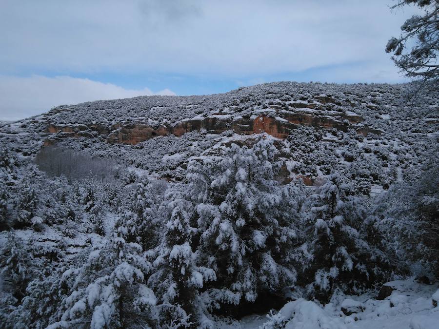 Aquí tienen una selección de fotografías de nieve enviadas por algunos de nuestros lectores. Se pueden ver imágenes de Tubilla del Agua, Ura, Belorado, Fuentelcésped, Quintanar de la Sierra o Sargentes de la Lora