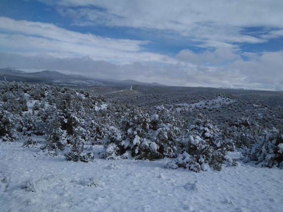 Aquí tienen una selección de fotografías de nieve enviadas por algunos de nuestros lectores. Se pueden ver imágenes de Tubilla del Agua, Ura, Belorado, Fuentelcésped, Quintanar de la Sierra o Sargentes de la Lora