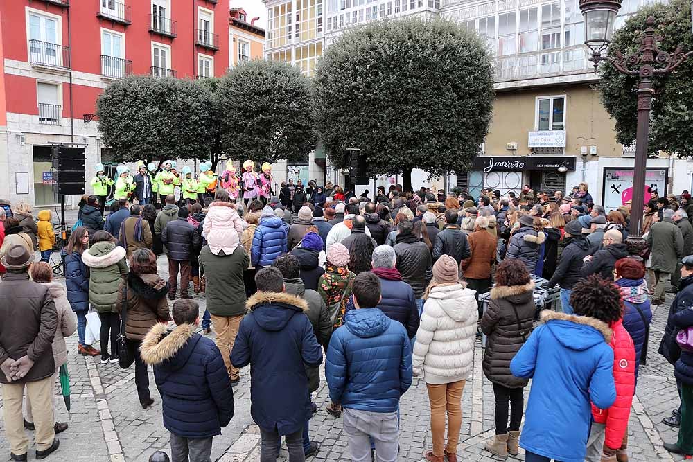 Actuación de &#039;Los No Aptos&#039; en imágenes