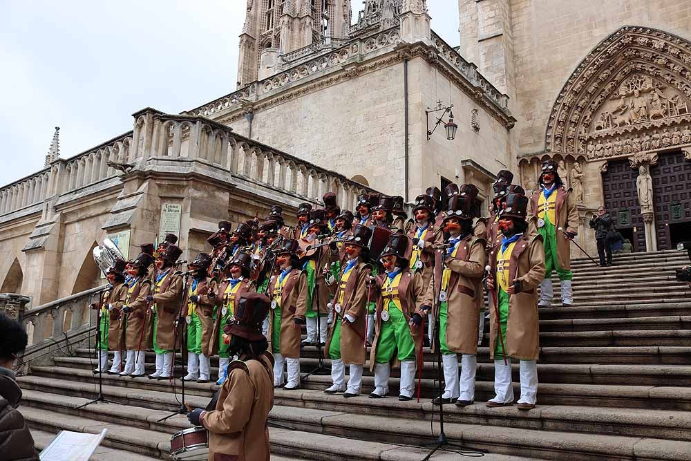 Actuación de la chirigota en imágenes