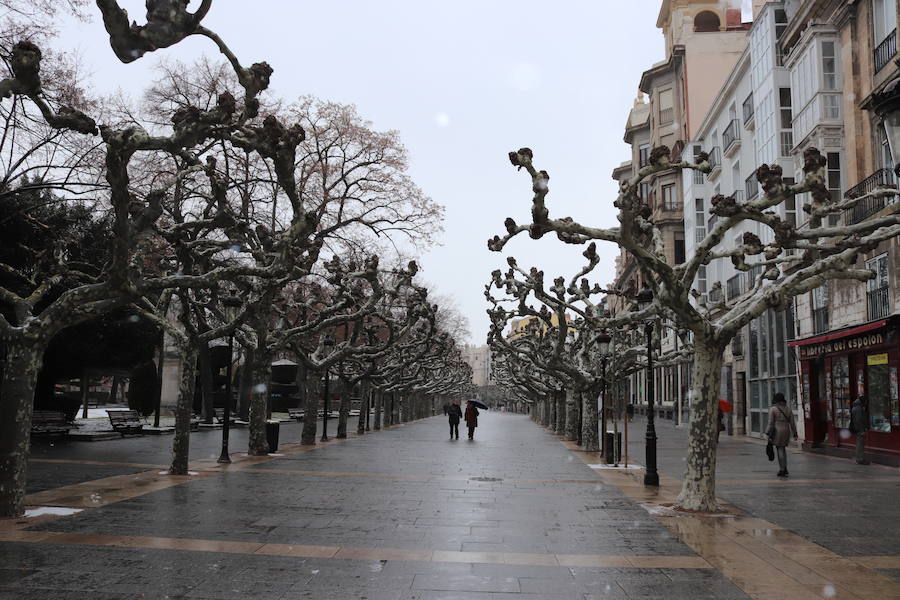 Con las alertas activadas, la nieve ha vuelto a cubrir esta mañana buena parte de la capital y la provincia. Al margen de incidenicas viarias, la capa blanca deja bonitas estampas