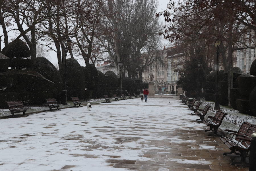 Con las alertas activadas, la nieve ha vuelto a cubrir esta mañana buena parte de la capital y la provincia. Al margen de incidenicas viarias, la capa blanca deja bonitas estampas