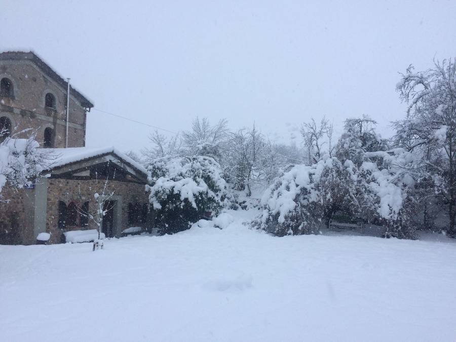Aquí os dejamos unas imágenes sobre el paso del temporal de nieve por la provincia de Burgos