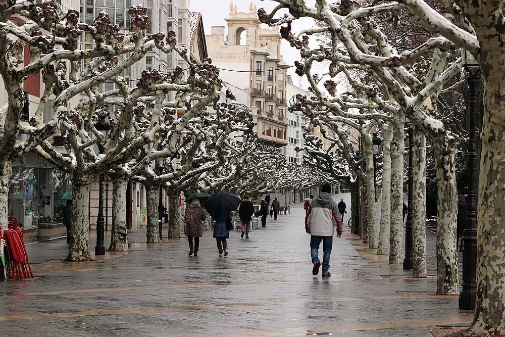 Aquí os dejamos unas imágenes sobre el paso del temporal de nieve por la provincia de Burgos