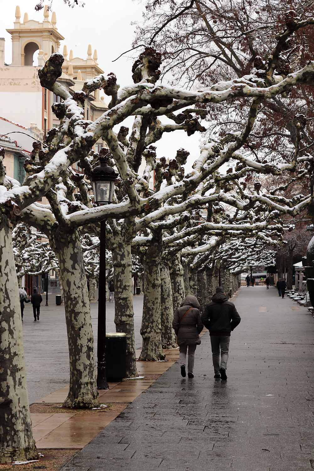 Aquí os dejamos unas imágenes sobre el paso del temporal de nieve por la provincia de Burgos