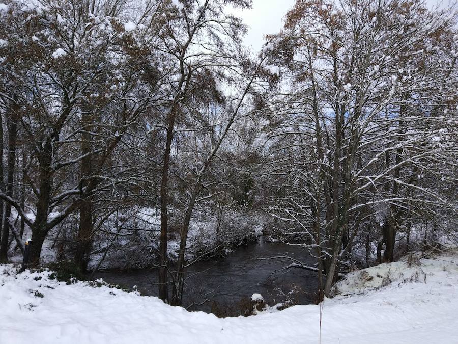 Aquí os dejamos unas imágenes sobre el paso del temporal de nieve por la provincia de Burgos