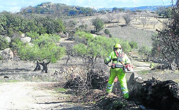 Un trabajador realiza labores de recuperación de espacios quemados.