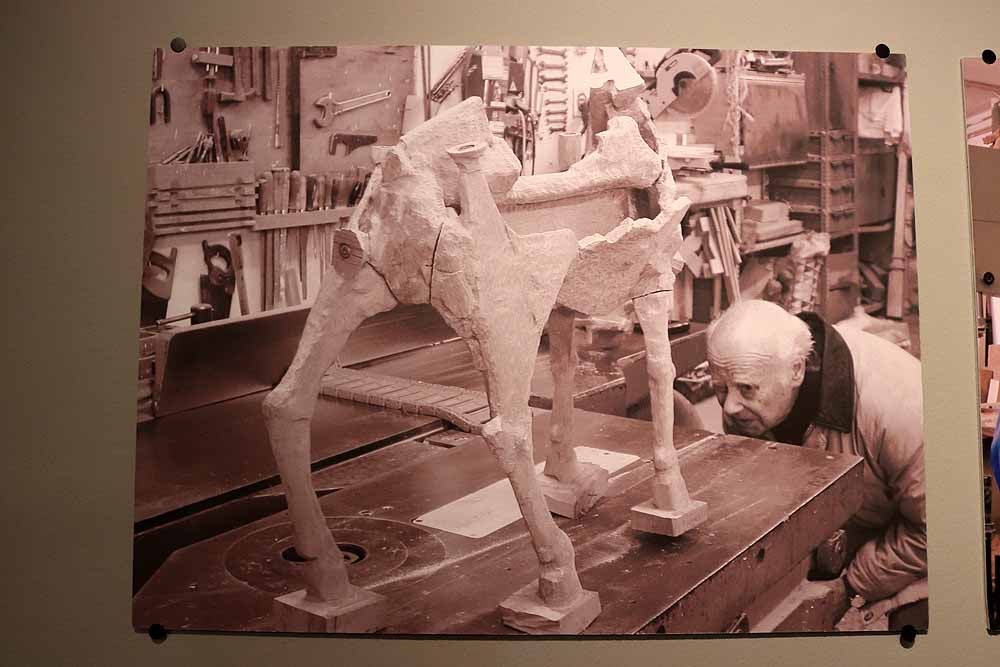 La exposición 'Una mirada a Cervantes' se muestra en la Sala de Exposiciones Pedro Torrecilla, del 22 de febrero al 25 de marzo