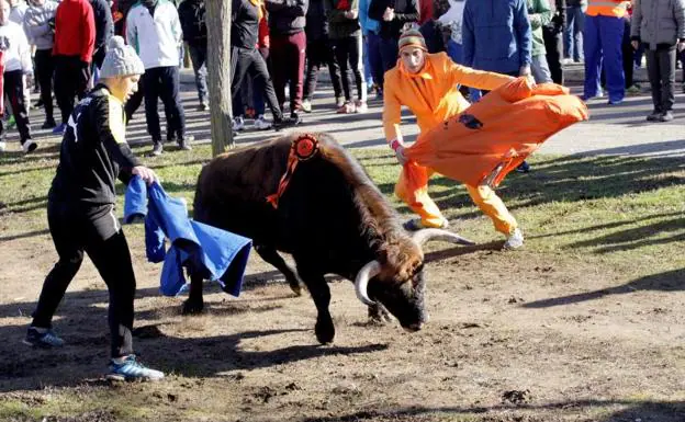l toro del antruejo abre la jornada en la que miles de personas se dan cita en los tradicionales carnavales del Toro de Ciudad Rodrigo. 