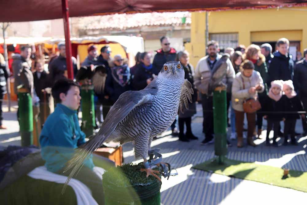 Fotos: Vuelta al pasado con el Mercado Medieval de Gamonal