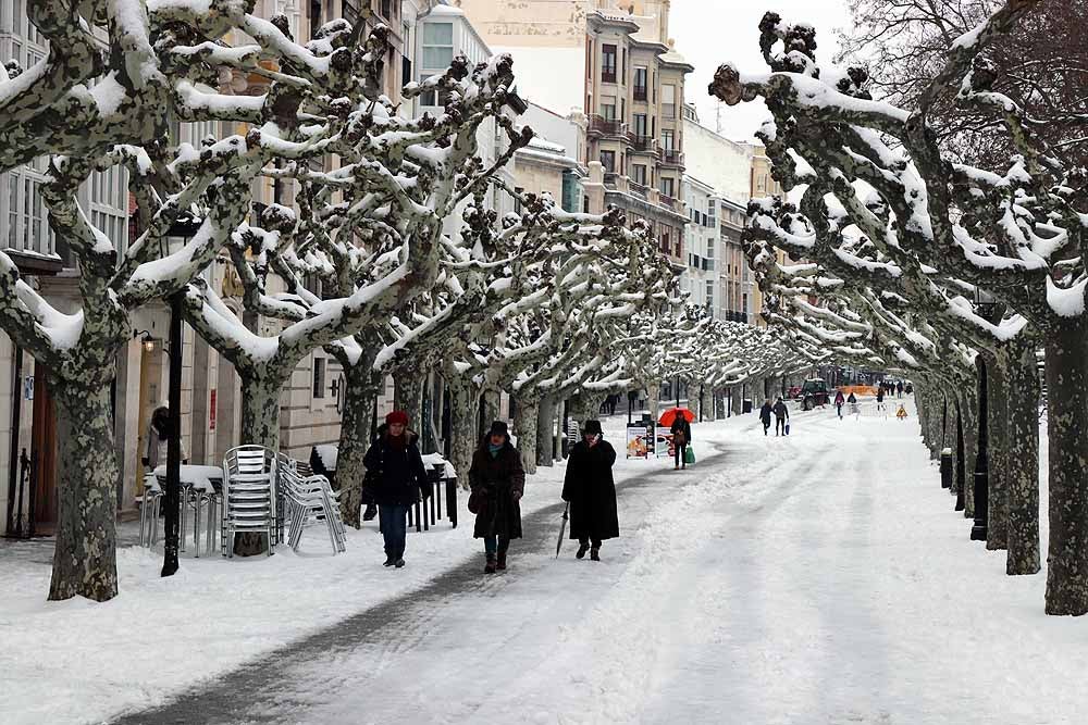 Las prediciciones se han cumplido y la provincia y la capital han amanecido cubiertas de un manto blanco, generandpo numerosas complicaciones en calles y carreteras.