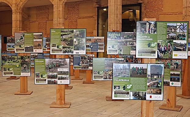 La exposición se puede visitar en el patio de la Casa del Cordón
