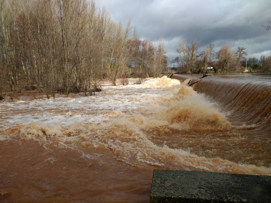 Las lluvias y el deshielo han hecho que el caudal del Arlanza crezca de manera considerable. Los vecinos lo miran con recelo ante las previsiones de más lluvia para la próxima semana