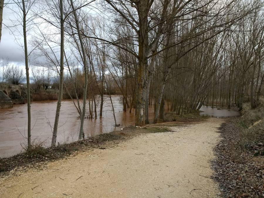 Las lluvias y el deshielo han hecho que el caudal del Arlanza crezca de manera considerable. Los vecinos lo miran con recelo ante las previsiones de más lluvia para la próxima semana