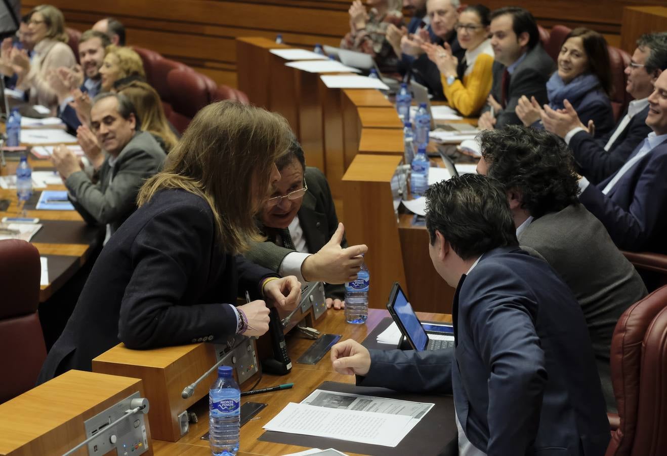 Fotos: Pleno en las Cortes de Castilla y León