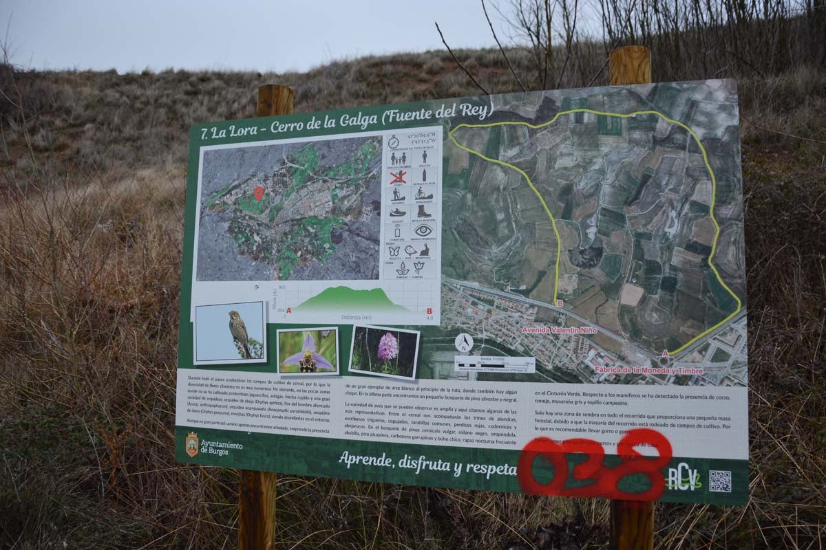 Alrededor de 200 personas se juntan en la Barriada Yagüe para repoblar la masa forestal del Monte de la Salud y el Cerro del Rey.