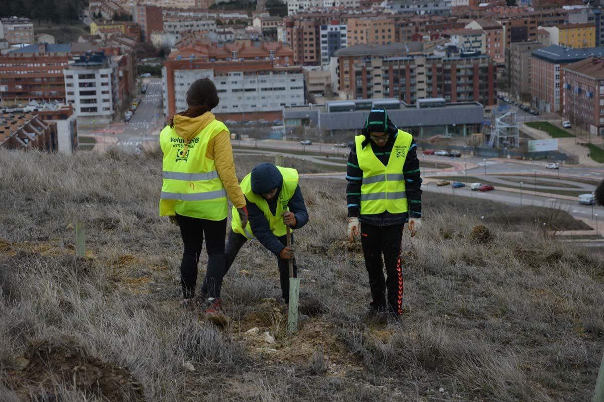 Alrededor de 200 personas se juntan en la Barriada Yagüe para repoblar la masa forestal del Monte de la Salud y el Cerro del Rey.