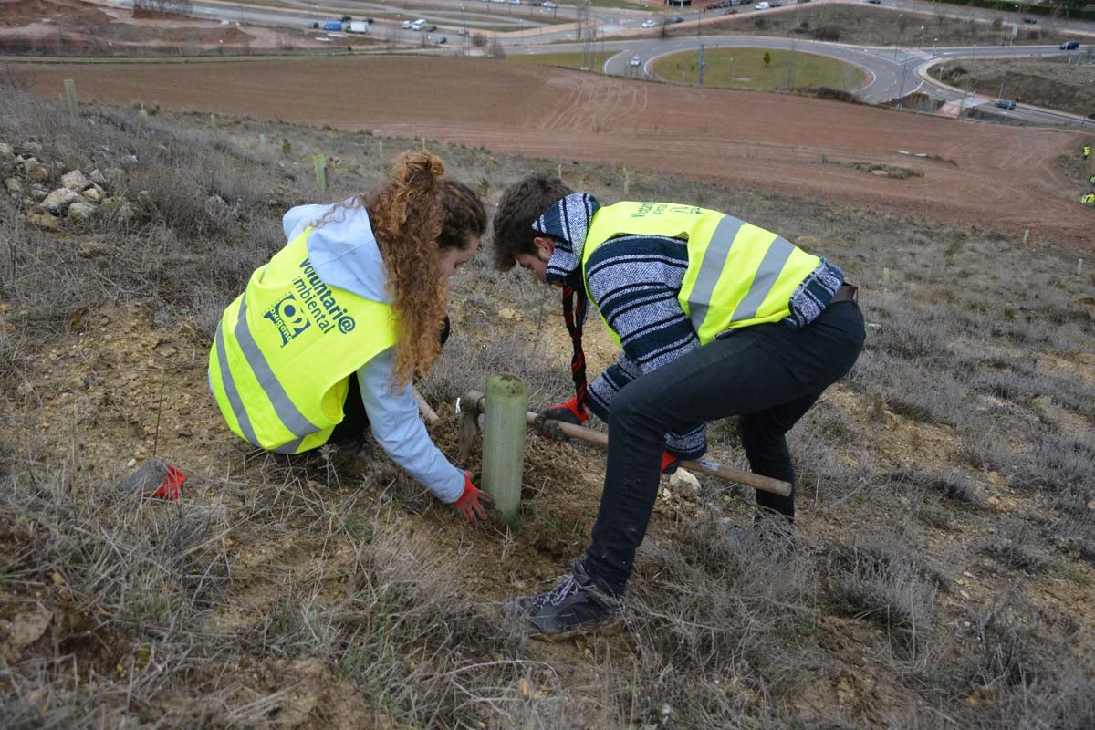 Alrededor de 200 personas se juntan en la Barriada Yagüe para repoblar la masa forestal del Monte de la Salud y el Cerro del Rey.