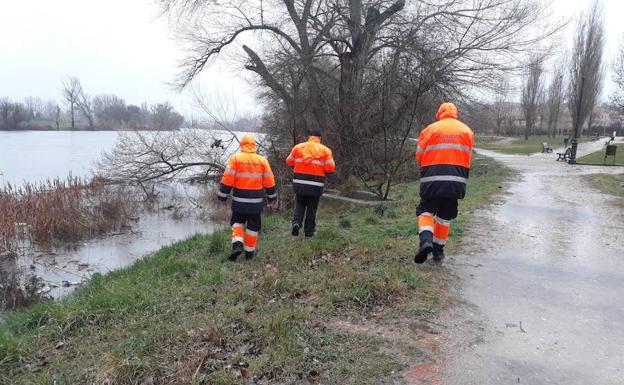 Miembros de Protección Civil acaminan por la orrilla del río Tormes.