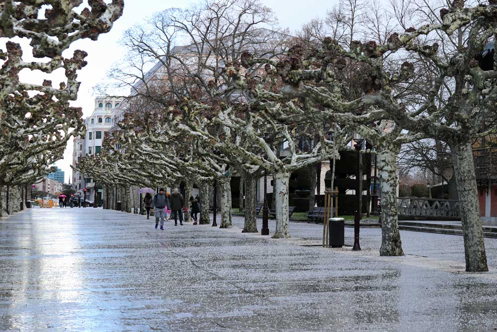 Agua convertida en hielo. La nieve no acaba de llegar a la capital, pero la lluvia tampoco es solo lluvia. Esta mañana ha nevado levemente y también ha granizado, eso sí, tan rápido como ha llegado el granizo, se ha ido