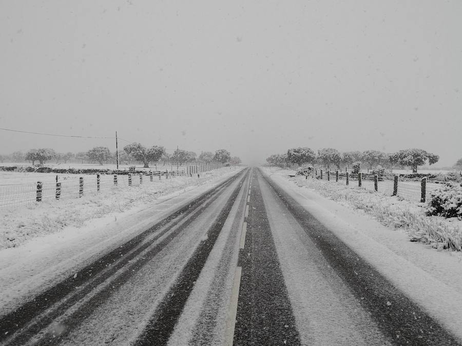 La nieve ha sorprendido de madrugada en la provincia de Salamanca, donde hay dificultades de tráfico por el elemento blanco que cubre las carreteras.