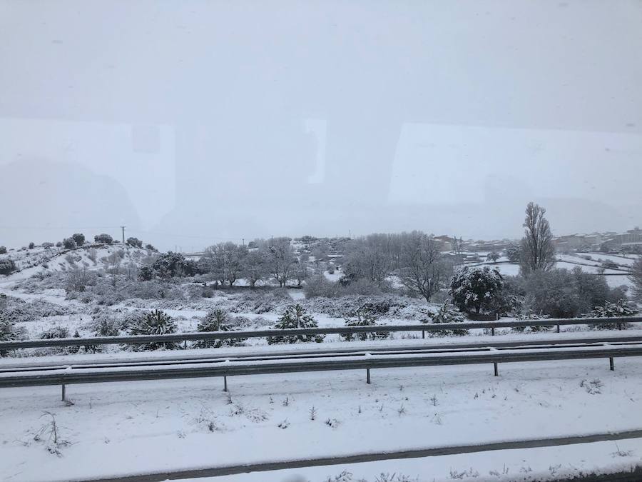 La nieve ha sorprendido de madrugada en la provincia de Salamanca, donde hay dificultades de tráfico por el elemento blanco que cubre las carreteras.