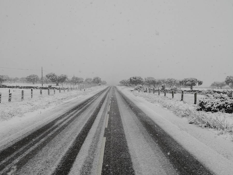 La nieve ha sorprendido de madrugada en la provincia de Salamanca, donde hay dificultades de tráfico por el elemento blanco que cubre las carreteras.