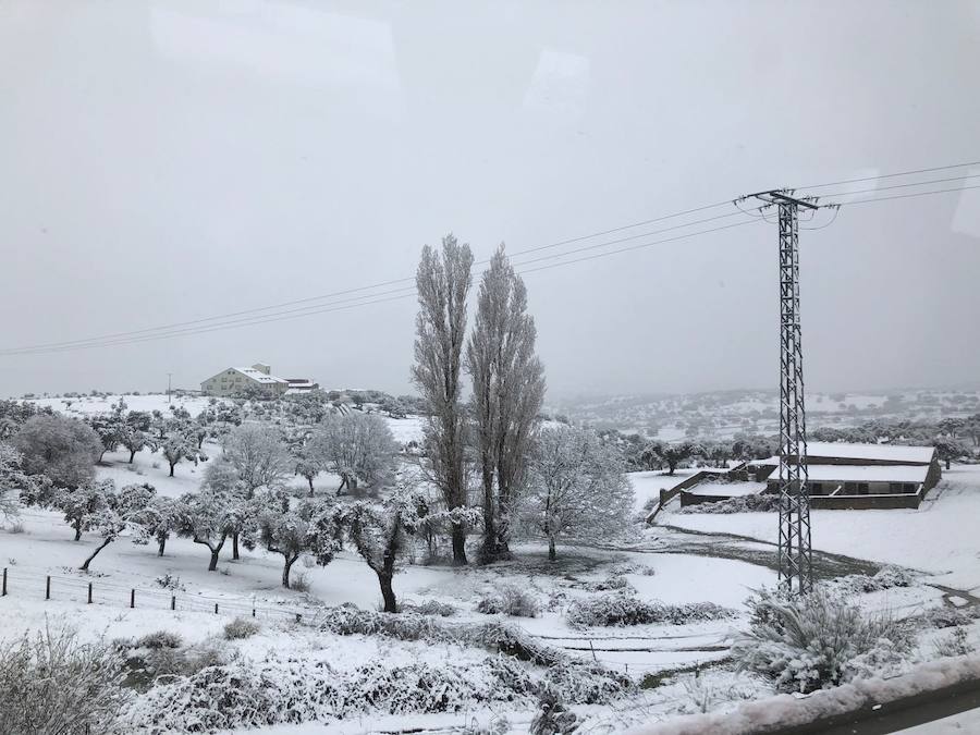 La nieve ha sorprendido de madrugada en la provincia de Salamanca, donde hay dificultades de tráfico por el elemento blanco que cubre las carreteras.