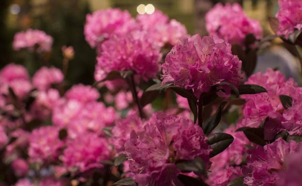 La primavera llega con lluvia, nieve y frío de invierno y la Semana Santa comenzará con más precipitaciones