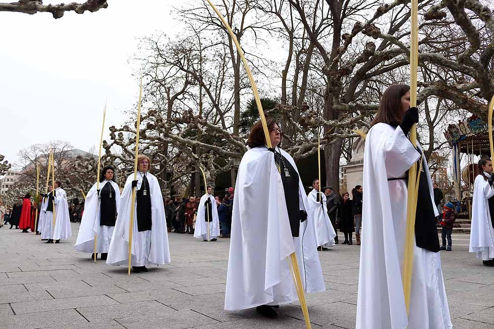 Fotos: Las imágenes de la Procesión de Jesús en La Borriquilla