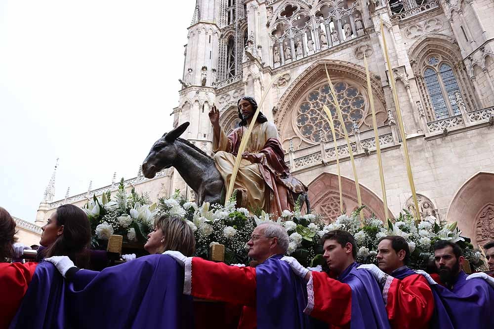Fotos: Las imágenes de la Procesión de Jesús en La Borriquilla