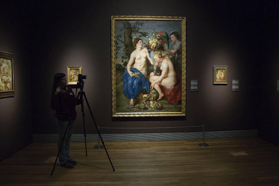 Una exposición en el Museo del Prado exhibe 73 de los mejores estudios que Rubens pintó con óleo