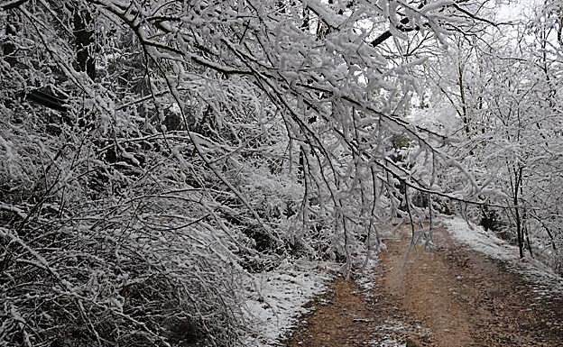 Aviso amarillo en la zona Ibérica y Cordillera Cantábrica
