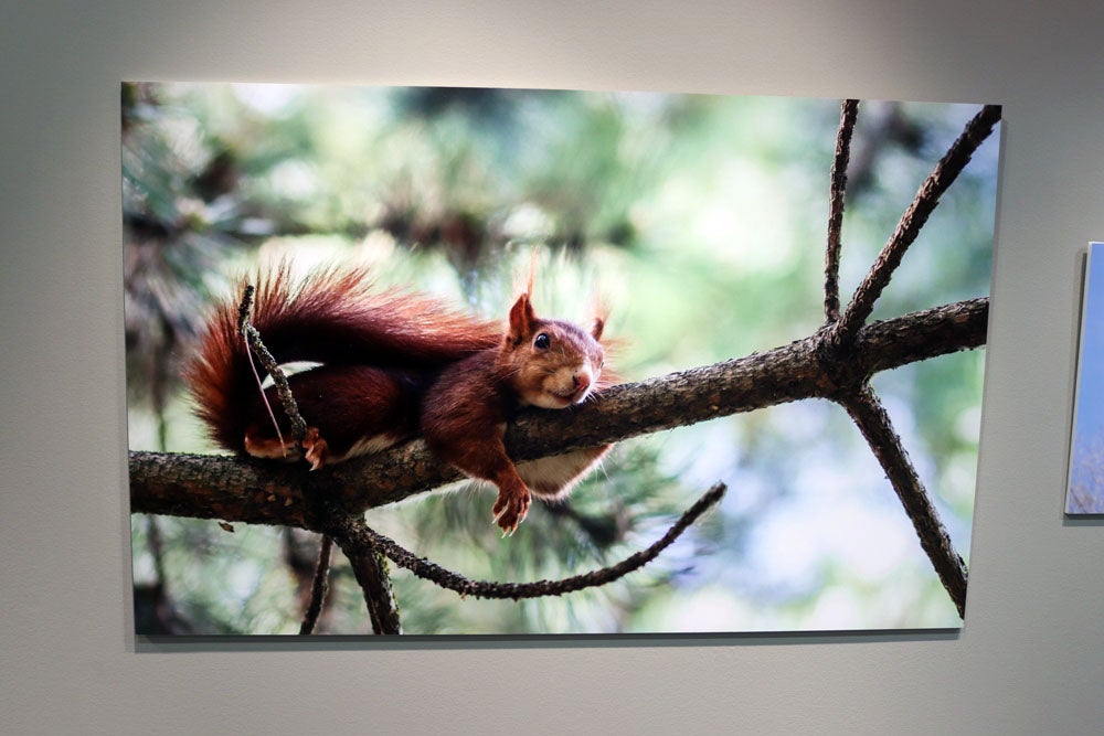 Del 9 al 13 de abril en la Sala de Exposiciones de la Fundación Cajacírculo
