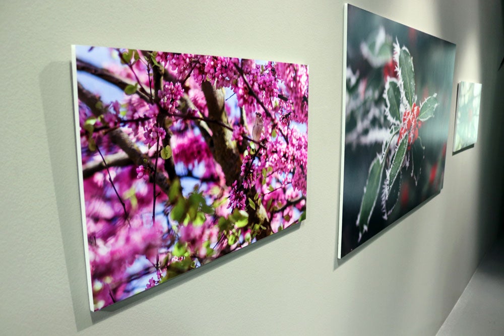 Del 9 al 13 de abril en la Sala de Exposiciones de la Fundación Cajacírculo