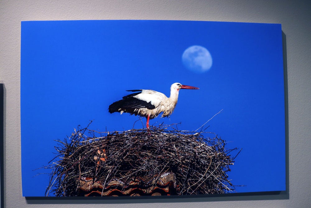 Del 9 al 13 de abril en la Sala de Exposiciones de la Fundación Cajacírculo