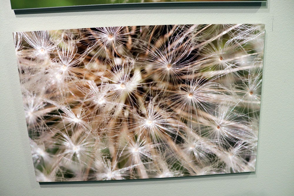 Del 9 al 13 de abril en la Sala de Exposiciones de la Fundación Cajacírculo