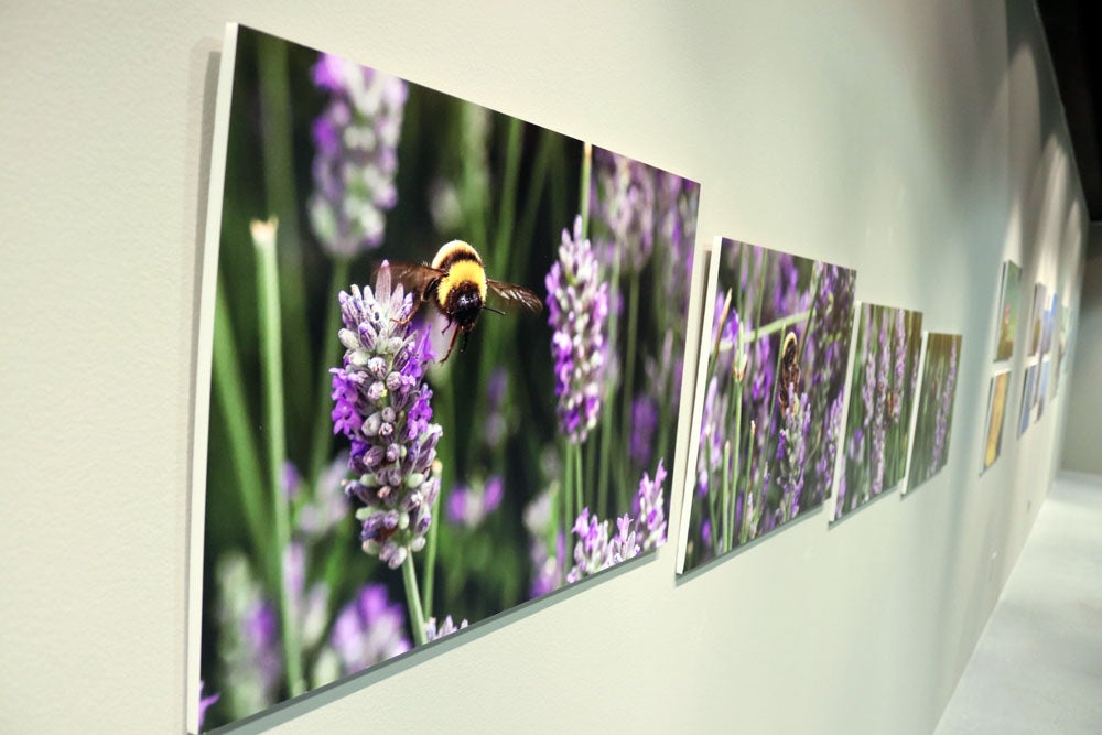 Del 9 al 13 de abril en la Sala de Exposiciones de la Fundación Cajacírculo