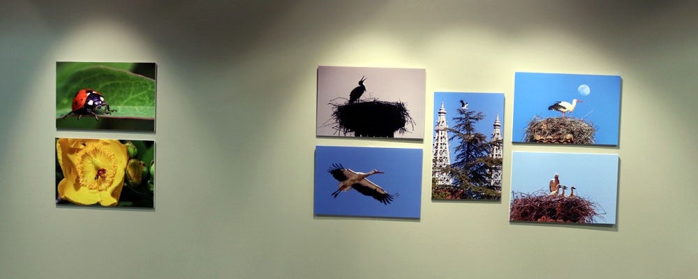 Del 9 al 13 de abril en la Sala de Exposiciones de la Fundación Cajacírculo